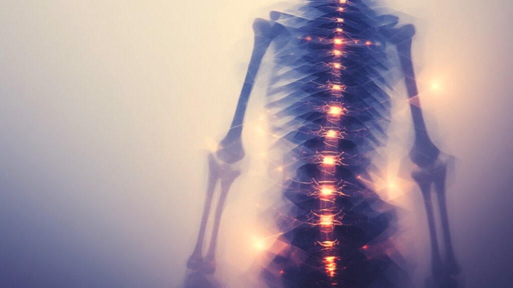 Doctrine as the Backbone of Christian Apologetics